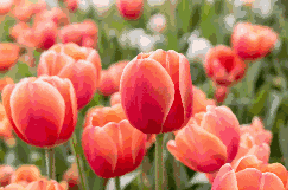 海关数据,K8凯发(中国)海关数据,荷兰海关数据